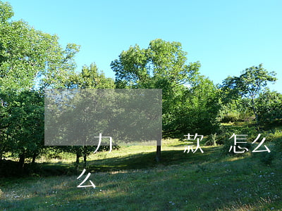 無力償還貨款會怎么樣-無力償還貨款會怎么樣