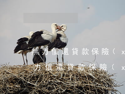 無力償還貸款保險(xiǎn)賠多少錢（無力償還貸款保險(xiǎn)賠）