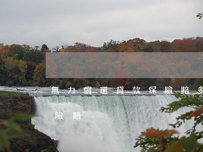 無力償還貸款保險賠多少錢（無力償還貸款保險賠）