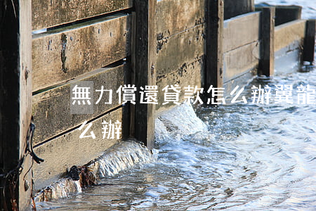 無力償還貸款怎么辦(翼龍貸無力償還貸款怎么辦)