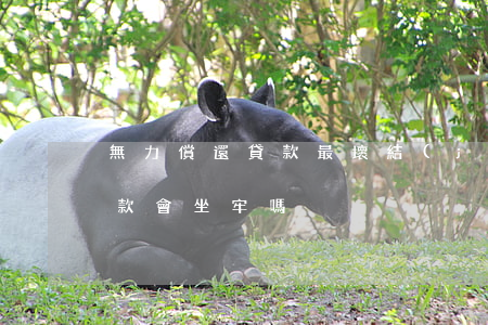 無力償還貸款最壞結(jié)果(無力還貸款會坐牢嗎)