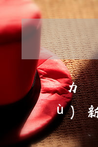 無力償還貸款會咋樣(貸款無力償還債務(wù)新政策)
