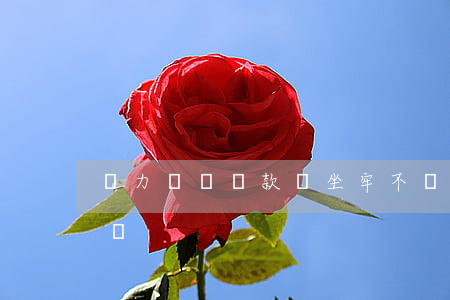 無力償還貸款會坐牢不(無力償還貸款會坐牢嗎)