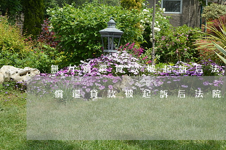 無力償還貸款被起訴后法院會判刑嗎-無力償還貸款被起訴后法院會判刑嗎知乎