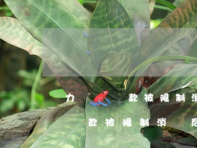 無力償還貸款被限制消費后怎么辦-無力償還貸款被限制消費后怎么辦理