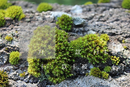 無力償還貸款銀行卡被凍結(jié)了(欠銀行貸款卡被凍結(jié)了怎么辦,沒有生活來源了)