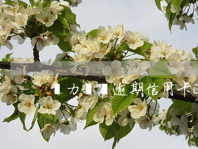 無力償還逾期信用卡正確解決辦法