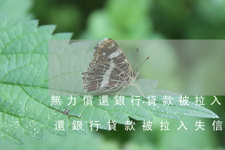 無力償還銀行貸款被拉入失信名單-無力償還銀行貸款被拉入失信名單怎么辦