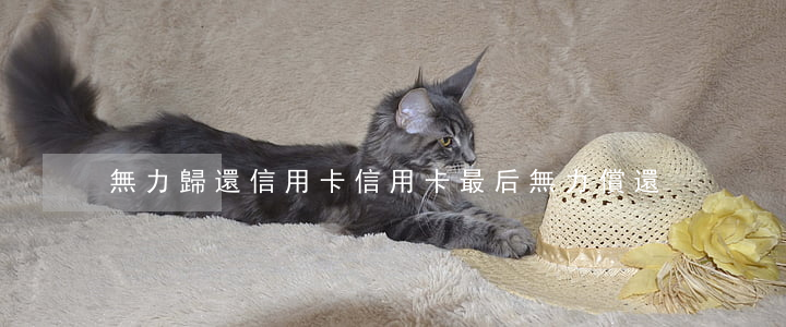 無力歸還信用卡（信用卡最后無力償還）