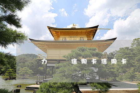 無力歸還信用卡（信用卡無力償還等死）