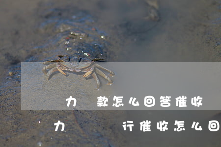 無力還款怎么回答催收(現(xiàn)在無力償還銀行催收怎么回答)