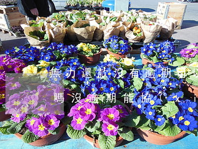 無力還款沒有逾期可以協(xié)商分期嗎(沒逾期能協(xié)商分期嗎)