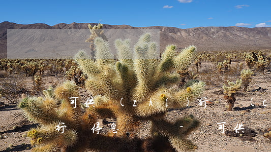 無可供執(zhí)行財產(chǎn)銀行會停息掛賬嗎-無可供執(zhí)行財產(chǎn)銀行會停息掛賬嗎知乎