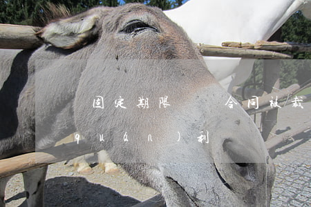 無固定期限勞動合同被裁,如何維護自己權(quán)利