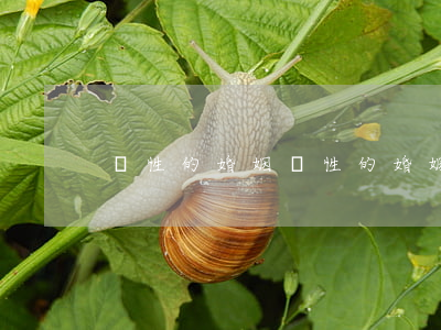 無性的婚姻(無性的婚姻該怎樣過)