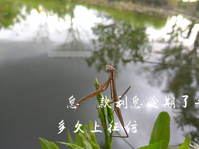 無息貸款利息逾期了半年(無息貸款逾期不還多久上征信)