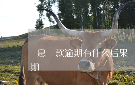 無息貸款逾期有什么后果(貸款利息未還算逾期嗎)