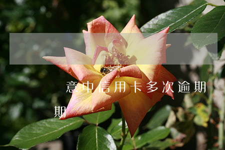 無意中信用卡多次逾期(無意中信用卡多次逾期)
