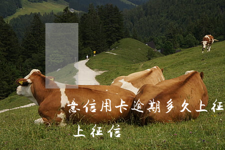 無意信用卡逾期多久上征信(信用卡逾期5天,會上征信嗎)