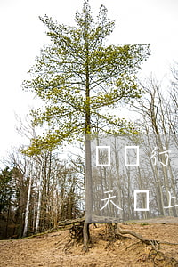 無憂行逾期三天會上征信嗎-無憂行逾期三天會上征信嗎網(wǎng)貸