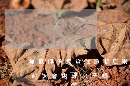 無抵押信用貸款逾期后果(無抵押信用貸款被起訴會處理房子嗎)