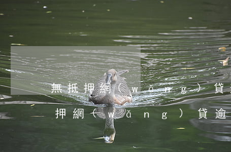 無抵押網(wǎng)貸逾期未還利息(無抵押網(wǎng)貸逾期未還利息)