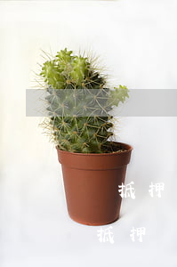 無抵押貸款逾期轉(zhuǎn)到總部(無抵押貸款逾期轉(zhuǎn)到總部)