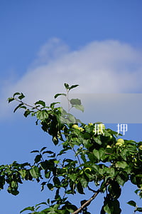 無抵押銀行貸款(無抵押銀行貸款五萬容易嗎)