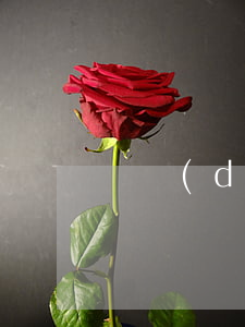 無擔(dān)保貸款