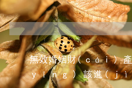 無效婚姻財(cái)產(chǎn)應(yīng)該進(jìn)行如何分割?