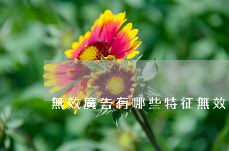 無效廣告有哪些特征（無效廣告有哪些）