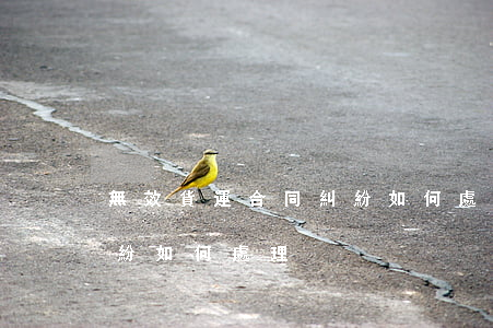 無效貨運合同糾紛如何處理(無效貨運合同糾紛如何處理)