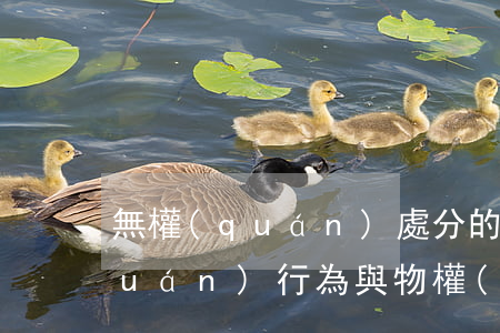 無權(quán)處分的合同中的債權(quán)行為與物權(quán)行為的效力問題