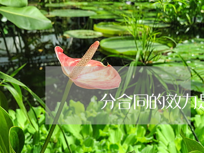 無權處分合同的效力是怎樣的