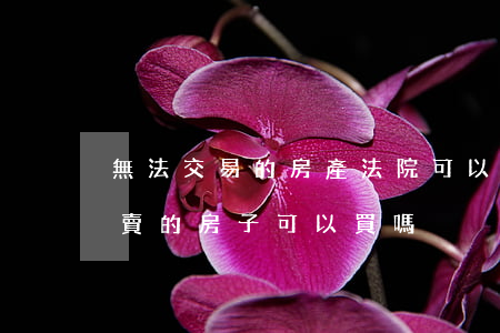 無法交易的房產法院可以拍賣嗎(法院公開拍賣的房子可以買嗎)