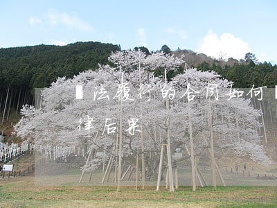 無法履行的合同如何處理(合同無法履行的法律后果)