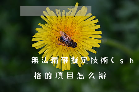 無法精確擬定技術(shù)規(guī)格的項目怎么辦