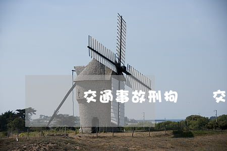 無為交通事故刑拘(無為交通事故刑拘)