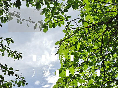 無爭議房產(chǎn)繼承調(diào)解書(繼承房產(chǎn)糾紛怎么辦)