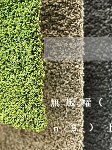 無版權(quán)的小說可以在網(wǎng)上進(jìn)行發(fā)布嗎