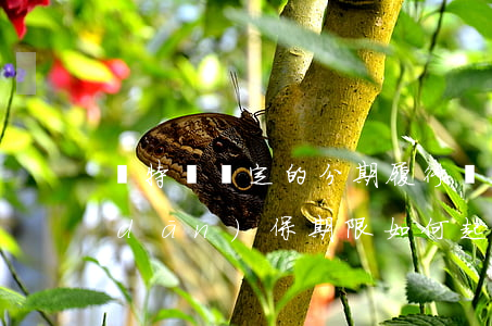 無特別約定的分期履行債務(wù)的擔(dān)保期限如何起算