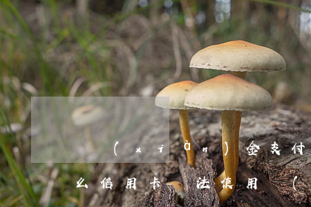 無現(xiàn)金支付和信用卡透支(為什么信用卡無法使用現(xiàn)金服務(wù))