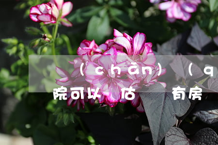 無產(chǎn)權(quán)的房子法院可以評估嗎(沒有房產(chǎn)證的房子法院怎么判)