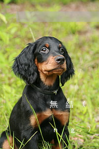 無結(jié)婚證怎么辦繼承(沒領(lǐng)結(jié)婚證能繼承遺產(chǎn)嗎)