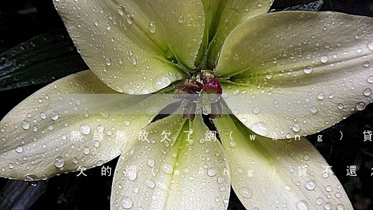 無緣無故欠了網(wǎng)貸怎么辦(如果欠的網(wǎng)貸不還怎么辦)