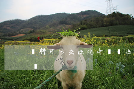 無聊可以去法院旁聽嗎(法院旁聽可以隨時走嗎)