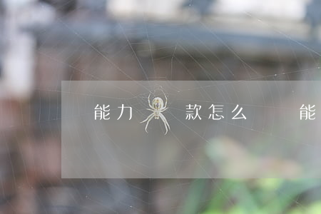 無能力還貸款怎么辦(無能力還貸款怎么辦)