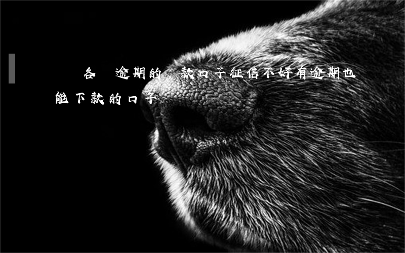 無視各種逾期的貸款口子(征信不好有逾期也能下款的口子)