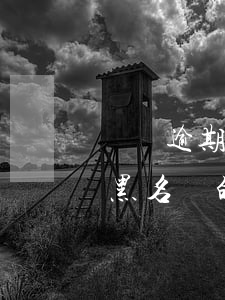 無視逾期征信黑1萬貸款(2020無視征信黑名單的貸款)