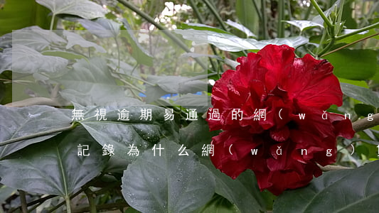 無視逾期易通過的網(wǎng)貸(無逾期記錄為什么網(wǎng)貸一直被拒)